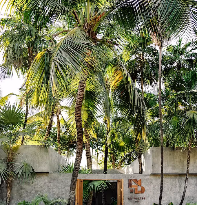 Luxurious tropical entrance surrounded by palm trees and exotic vegetation at La Valise Tulum Hotel.