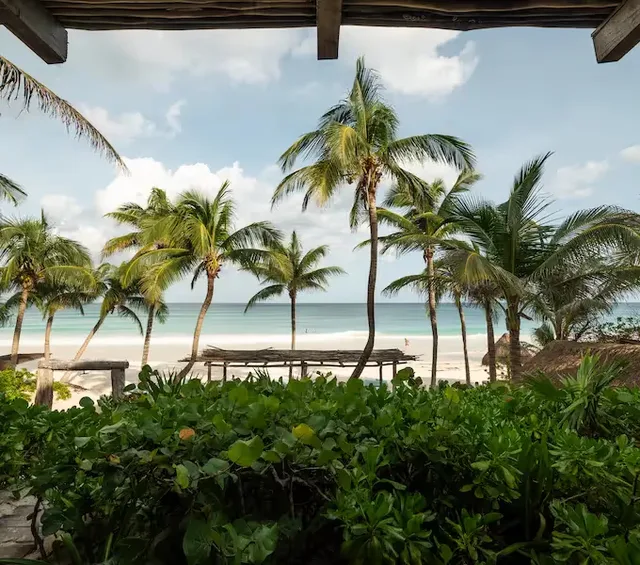 Impresionante vista de playa de arena blanca y palmeras desde el hotel La Valise Tulum.